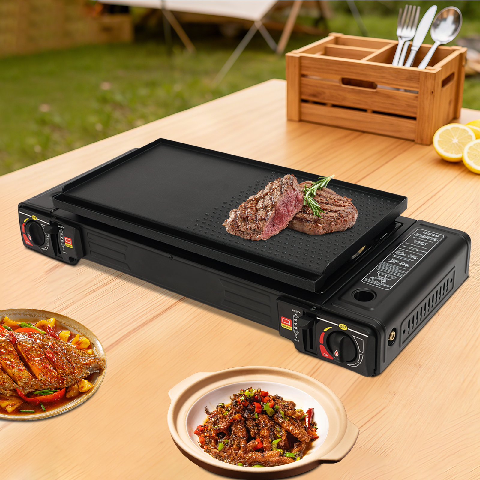 2in1 2-Burner Portable Camping - Camping Cooking Electric review and price
