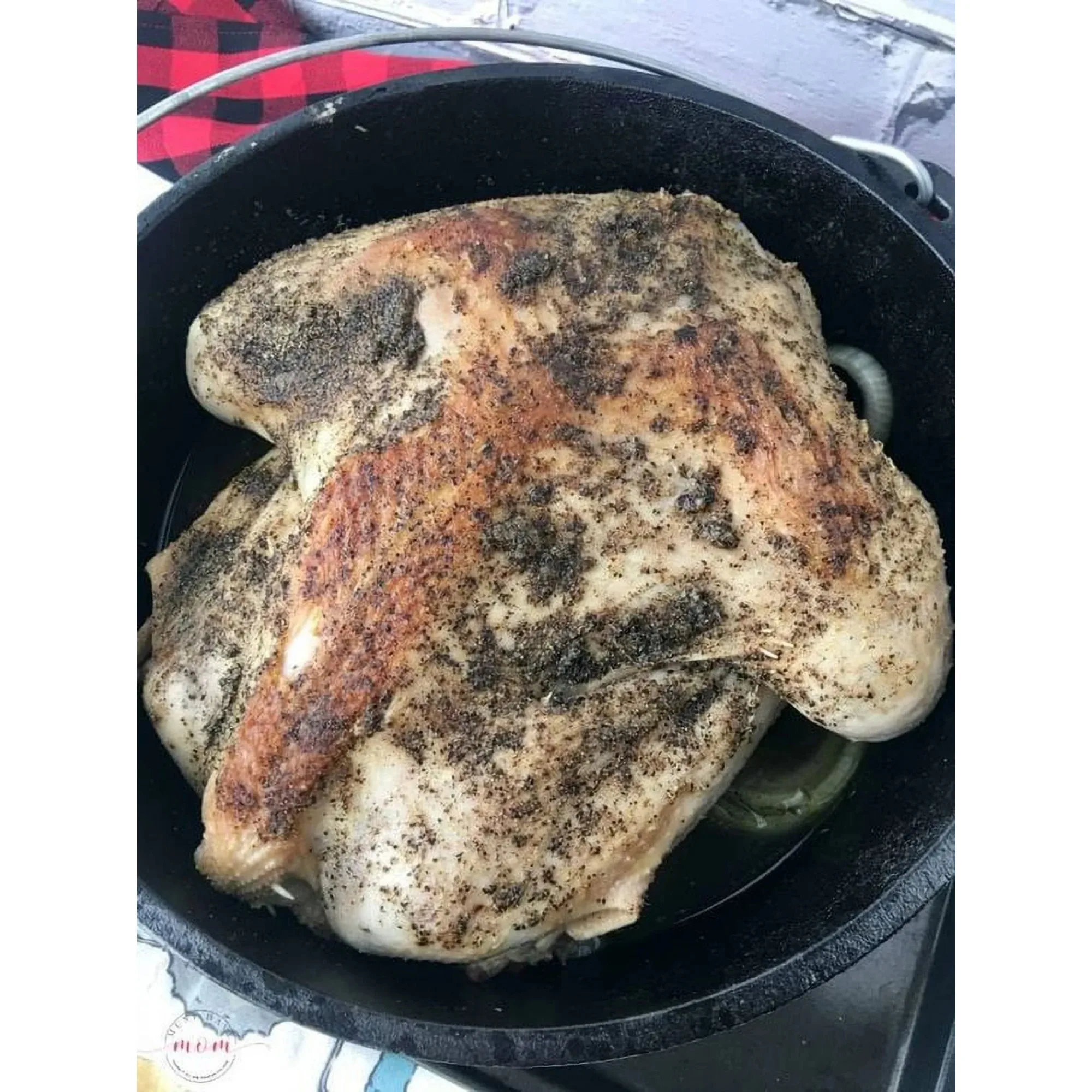 5 Quart Cast Iron Dutch Oven,  - Camp Dutch Oven Cast review and price
