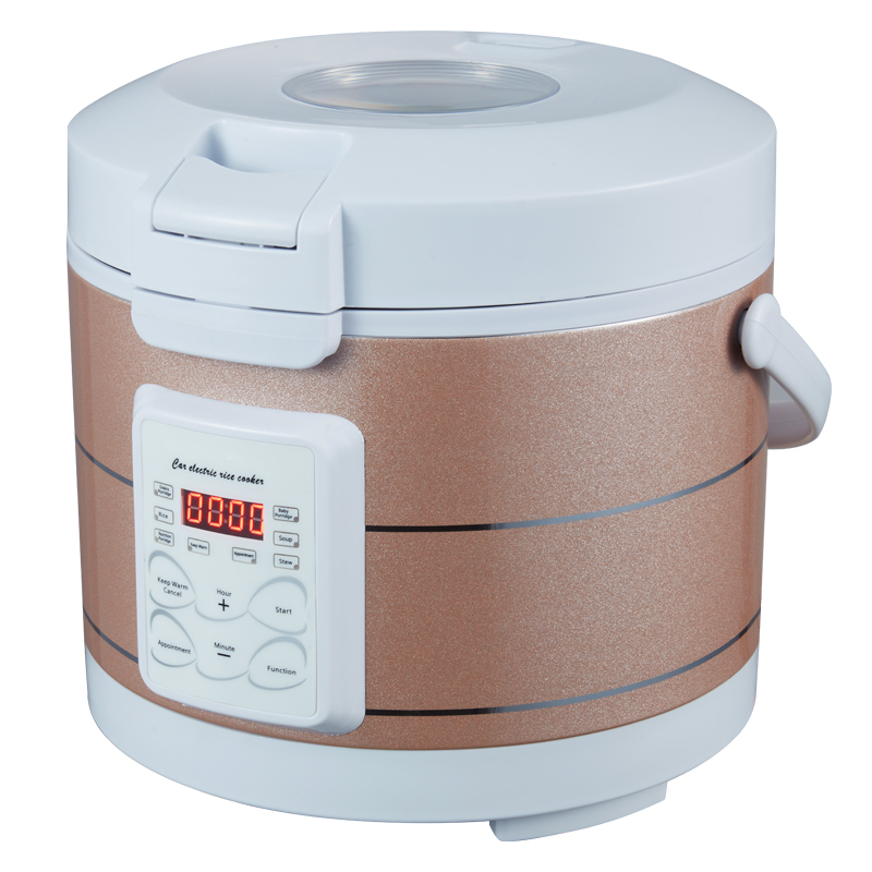 Rmier 12V 24V 220V Mini Rice C - Camping No Cooking Meals review and price