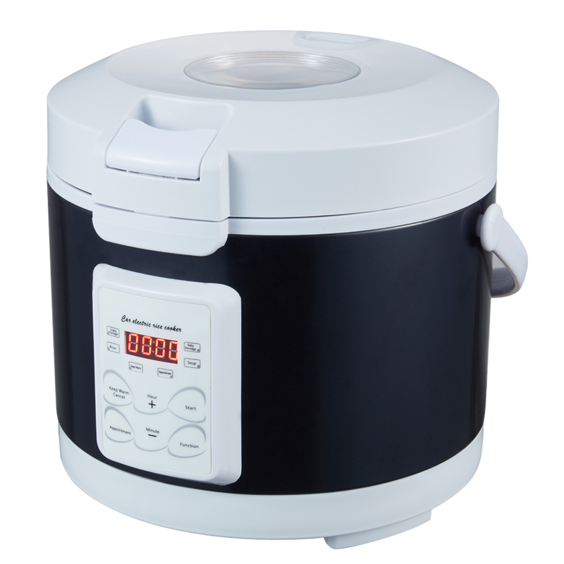 Rmier 12V 24V 220V Mini Rice C - Camping No Cooking Meals review and price