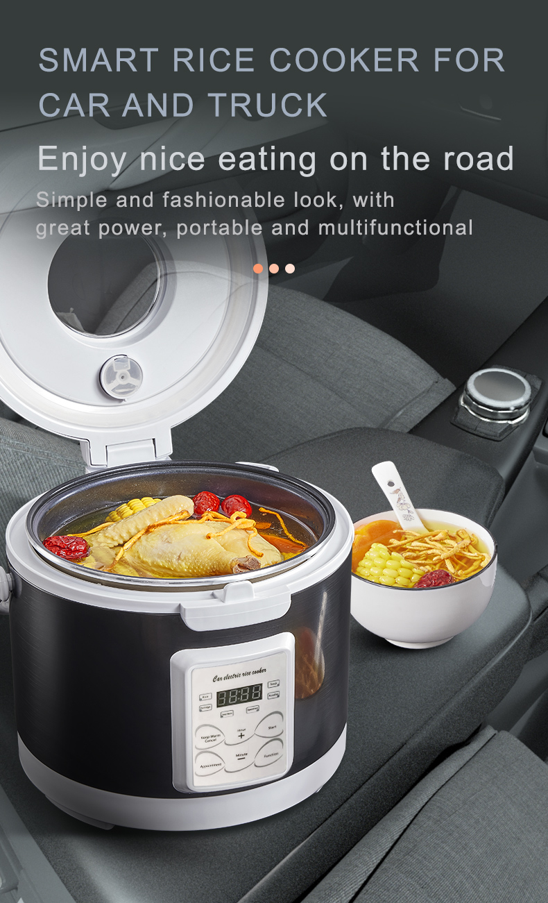 Rmier 12V 24V 220V Mini Rice C - Camping No Cooking Meals review and price