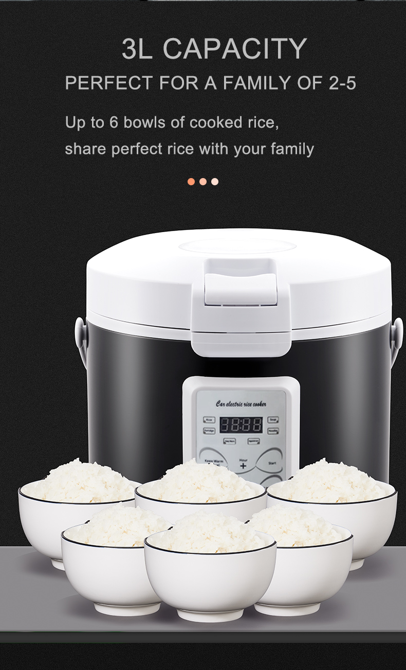 Rmier 12V 24V 220V Mini Rice C - Camping No Cooking Meals review and price