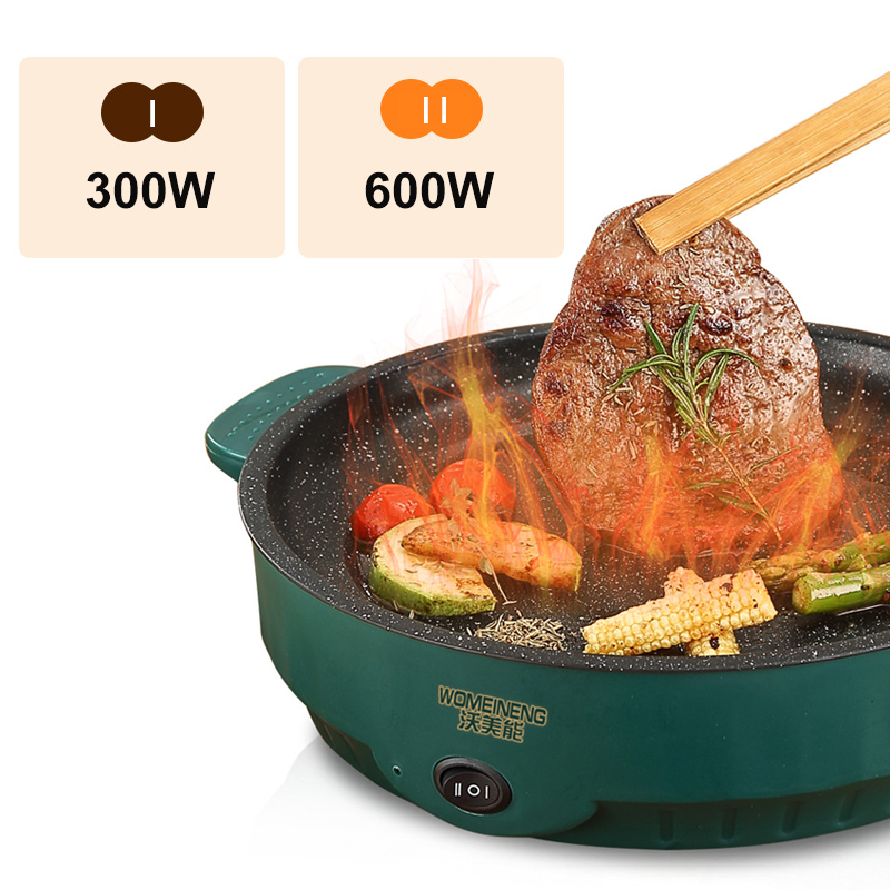 Electric MultiCooker Electric  - Camping Cooking Electric review and price