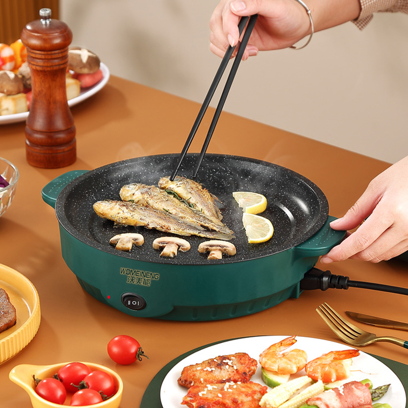 Electric MultiCooker Electric  - Camping Cooking Electric review and price