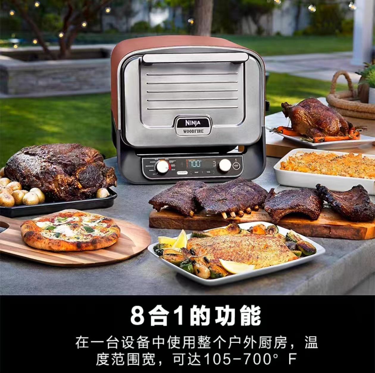 2026 Outdoor Pizza Oven for El - Camping Cooking Grill review and price
