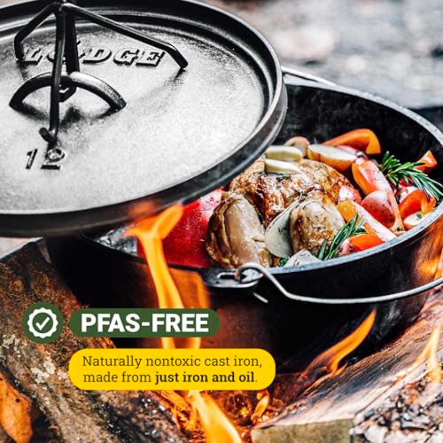 6Quart PreSeasoned Cast Iron C - Camp Dutch Oven Cast review and price